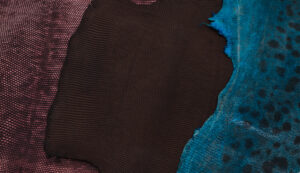 peaux de reptile et de poisson